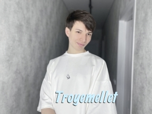 Troyemellet