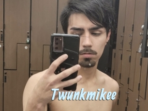 Twunkmikee