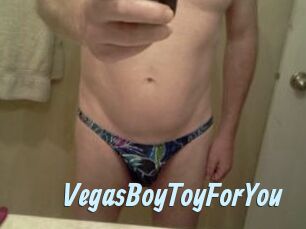 VegasBoyToyForYou