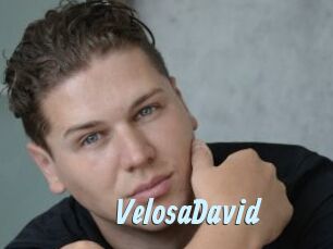 VelosaDavid