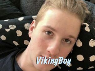 VikingBoy