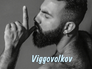 Viggovolkov