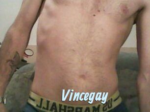 Vincegay