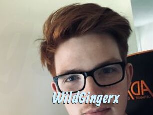 WildGingerx