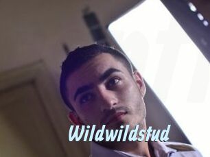 Wildwildstud