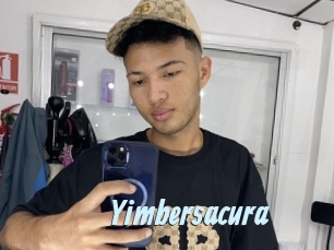 Yimbersacura