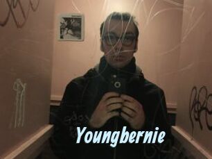 Youngbernie