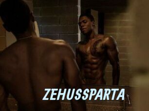 ZEHUS_SPARTA