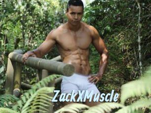 ZackXMuscle