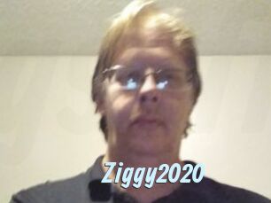 Ziggy2020