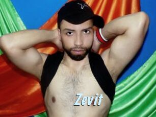 Zevit